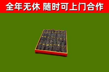 谢岗镇回收海参